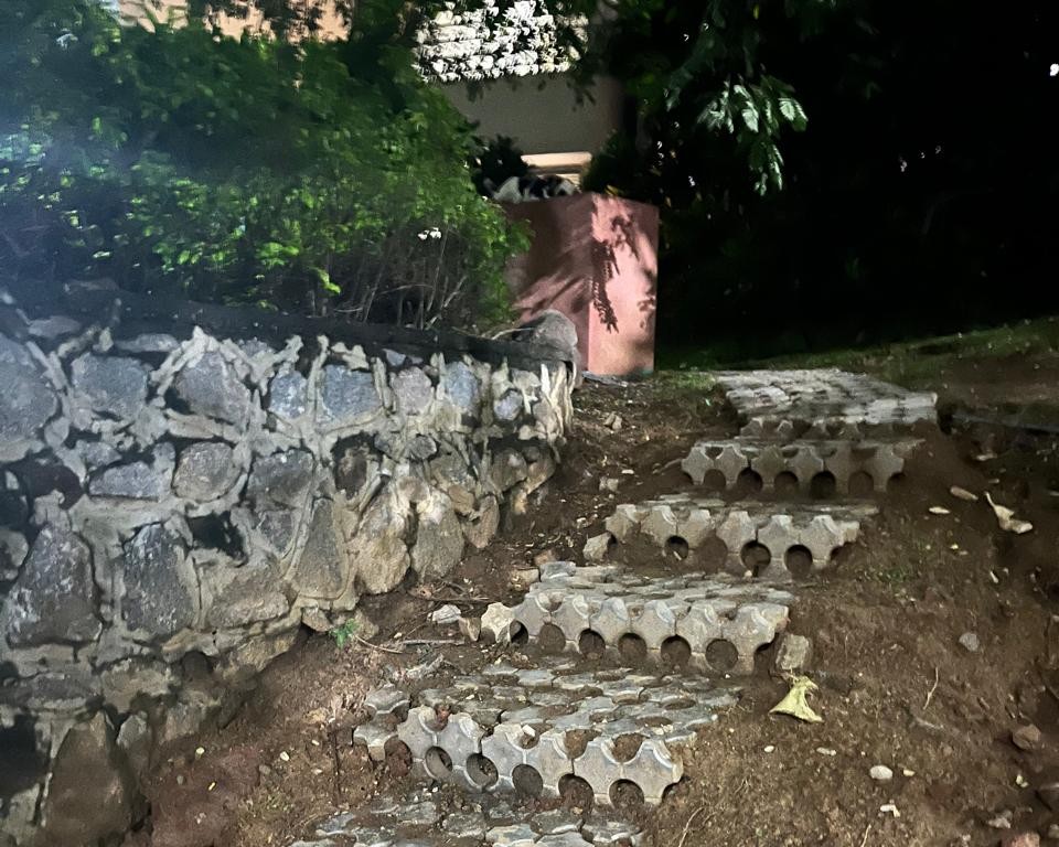 Cat feeding zone near Student Activity Centre